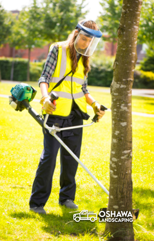 Oshawa Landscaping